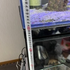 アクアシステムズ　オーバーフロー水槽