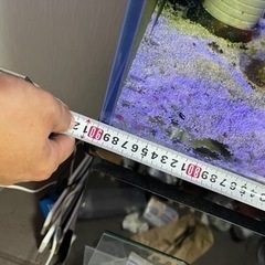 アクアシステムズ　オーバーフロー水槽