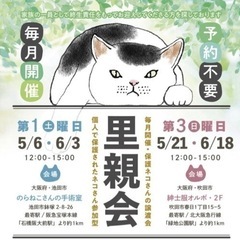猫ちゃん譲渡会in池田市