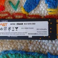SSD 256GB SUNEAS SE900M2SA 正常品