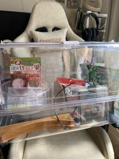 【ハムスター】飼育セット