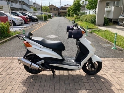 動画あります・自賠責付き❗️YAMAHA シグナス ※兵庫県伊丹市昆陽より 動画あります・自賠責付き❗️YAMAHA シグナス ※兵庫県伊丹市昆陽より