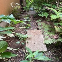 庭の踏み石他庭石たくさんあります