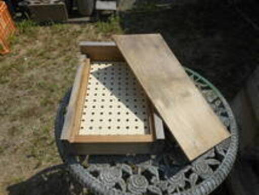 巣箱入り日本ミツバチ 4月10日分蜂群