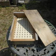 巣箱入り日本ミツバチ　4月10日分蜂群