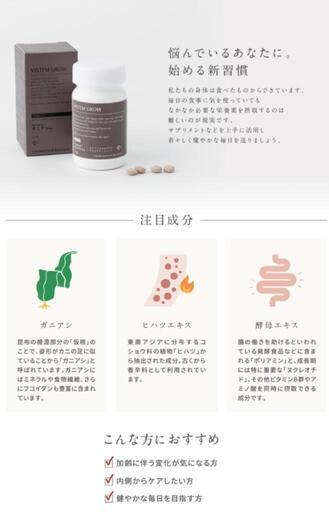 ヴィステムグロウ＜栄養補助食品＞120粒入（約1ヵ月分) 【727化粧品 7beauty Solution Series】