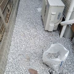 真作/巖谷小波/岩谷小波/巻狩用具画賛/俳句/布袋屋掛軸HJ-175