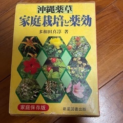 沖縄薬草　家庭栽培と薬効