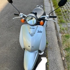 決まりました【HONDA トゥデイ】