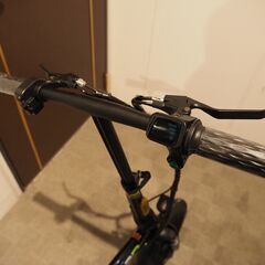 フル電動自転車 速度30kmh 最大走行40km 48V 350W かご付き