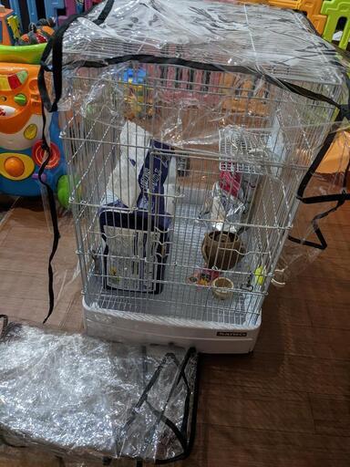 フクロモモンガ用　飼育セット