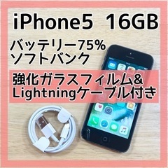 iPhone 5  16GB