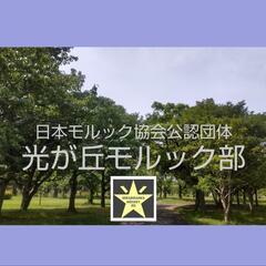 6/16（日）10時〜城北中央公園でモルックやります!!【光が丘...