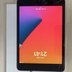 美品 iPad mini 5 Wi-Fi 64GB スペースグレ...