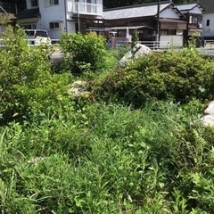 草刈り除草、佐伯市周辺の画像
