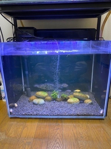 水槽セット　60cm