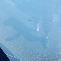 ✨2022年製✨2224番 アイリスオーヤマ✨冷凍冷蔵庫✨IRSN-17A-WE‼️