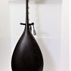 エレアコ 琵琶 ピエゾピックアップ付 希少品 ジャンク品