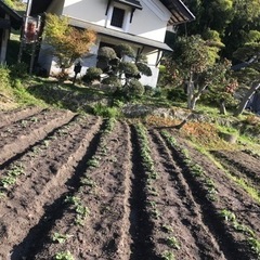 ★畑貸します★毎月3000円年一括払3万円