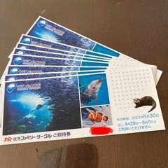 新江ノ島水族館　招待券　2023.6.30