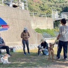 ５月12日☀️夜須で犬のしつけ教室やります🐶💓🧑 - 香南市