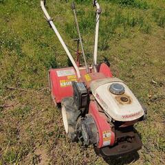 広めの家庭菜園などにいかがでしょうか