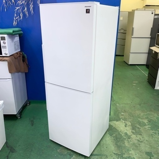 【9371】 送料設置込 SHARP　人気モデル　大型冷蔵庫　280L 9371】 送料設置込 SHARP 人気モデル 大型冷蔵庫 280L 9371