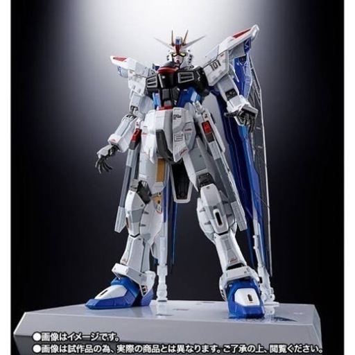 抽選販売当選品 超合金フリーダムガンダム Ver.GCP | www.mclegal.info