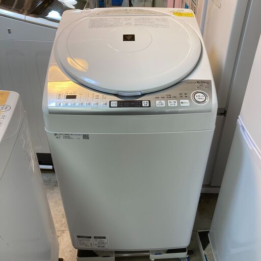 ✨期間限定・特別価格✨SHARP シャープ 洗濯機 ES-TX8D 8.0K 2019年製 ハンガー等付属有