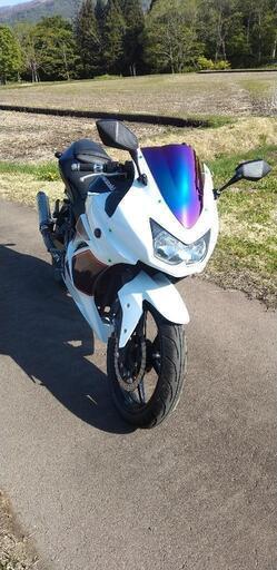 カワサキ Kawasaki ninja 250r