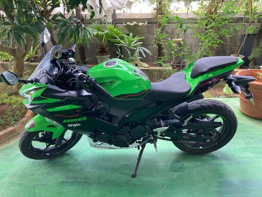 Ninja 250 KRT EDITION (2021)※身分証2点認証済みの方限定