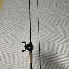 SHIMANO スコーピオンhg  DAIWA ブレイゾンMセット