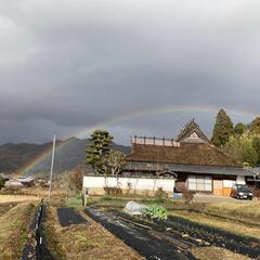 薪ヒィリング、薪ストーブ、炊飯用各種薪