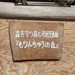 薪ヒィリング、薪ストーブ、炊飯用各種薪