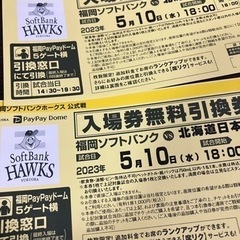 福岡ソフトバンクホークス PayPayドーム ペアチケット