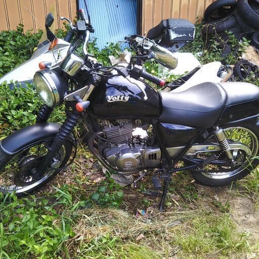 ボルティー250  プチカスタム
