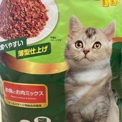 キャットフード