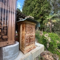 養蜂箱くださいm(_ _)m もしくは、経験者の方、作るの手伝っ...