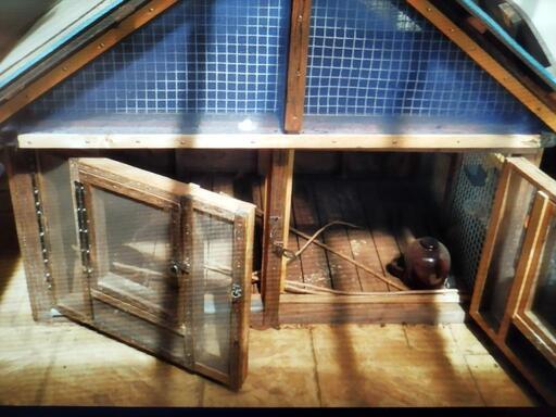 鶏鳩インコ文鳥野鳥小屋うさぎ