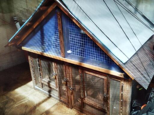 鶏鳩インコ文鳥野鳥小屋うさぎ