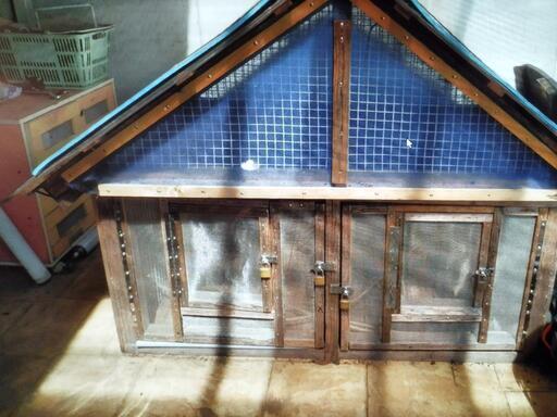 鶏鳩インコ文鳥野鳥小屋うさぎ 鶏鳩インコ文鳥野鳥小屋うさぎ