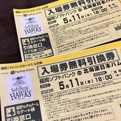 【ペア】ソフトバンクホークス PayPayドーム 野球チケット