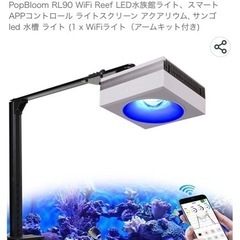 【お話中】60cmワイド オーバーフロー水槽 全セット