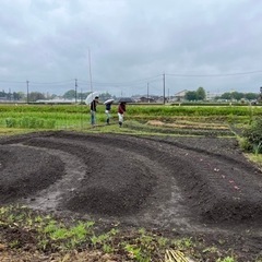 無肥料で家庭菜園会員募集中