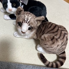 猫 ぬいぐるみ