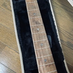 Cole Clark エレアコ　FL2EC-BLBL