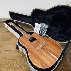 Cole Clark エレアコ　FL2EC-BLBL