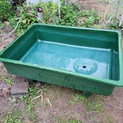 FRP水槽　金魚水槽