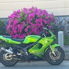 kawasaki krr150zx 2st