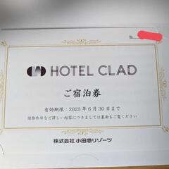 【ネット決済・配送可】hotel clad 2名 富士山ビューツ...
